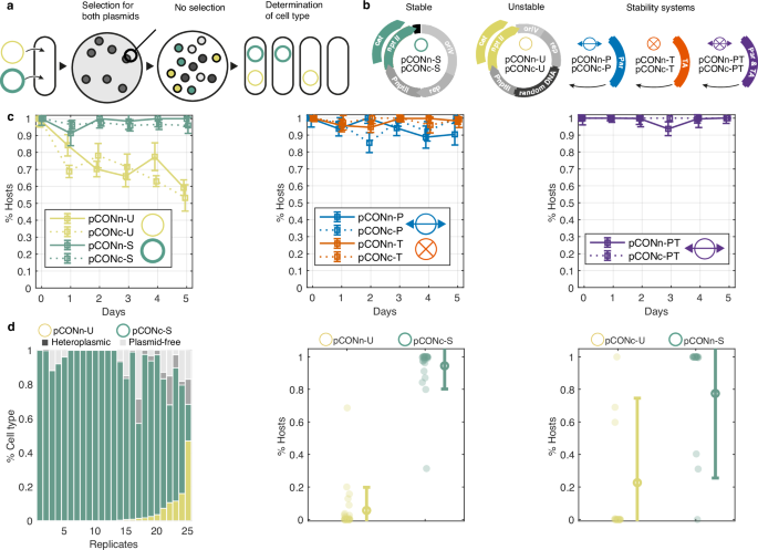 How Do Toxin Antitoxin Systems Contribute to Plasmid Maintenance: Key Insights