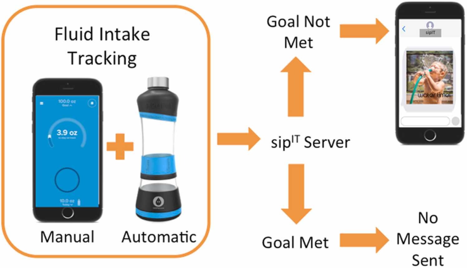 What Can Be Tracked on Wearable Technology: Ultimate Health Insights