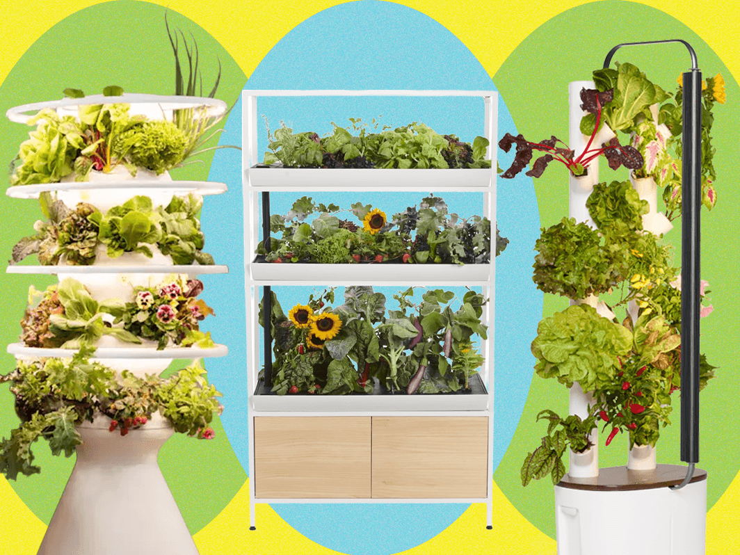 What is the Most Low Maintenance Hydroponics System: Ultimate Guide