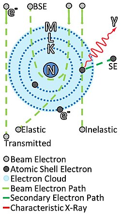 Why Do Electron Spins Have Imaginary Components: Unveiling Quantum Secrets