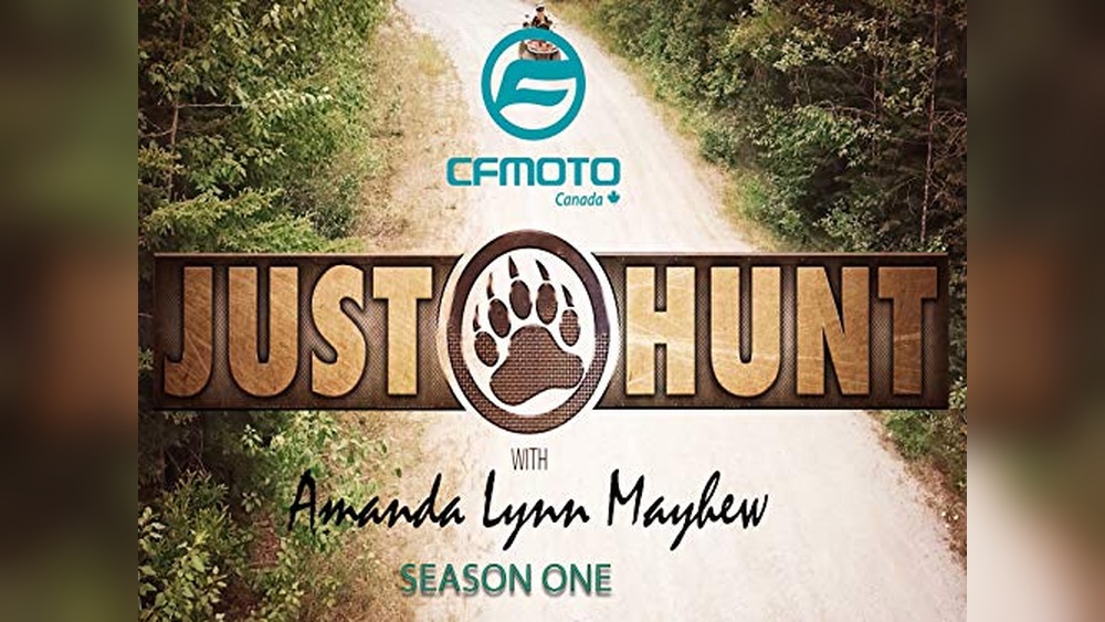 Best Buy Calgary Locations Electronics: Top Picks for Just Hunt Devices