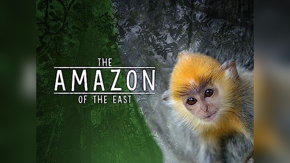 Best Buy Electronic Coupons: Save Big on Top Tech Gadgets Today