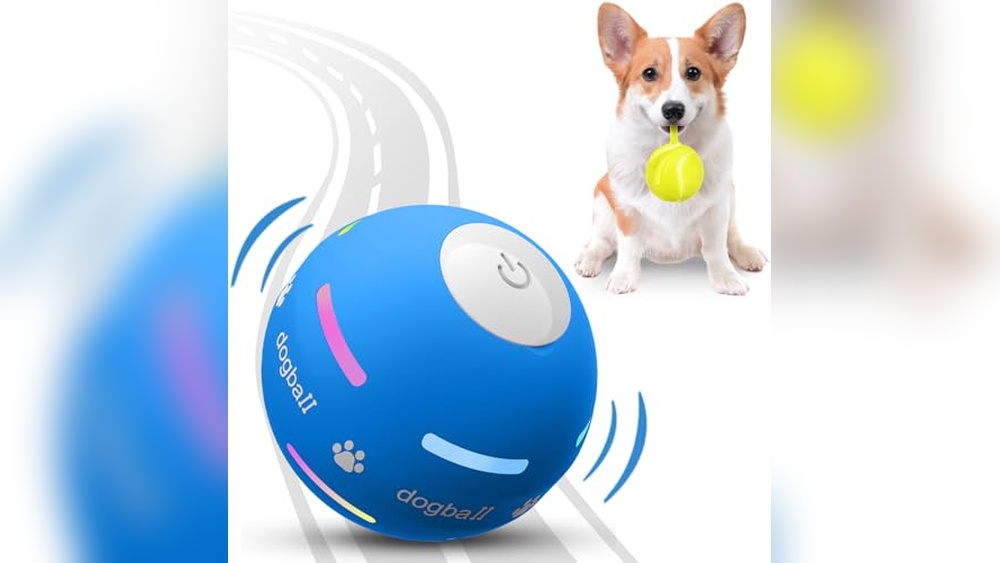 Best Electronic Dog Toys