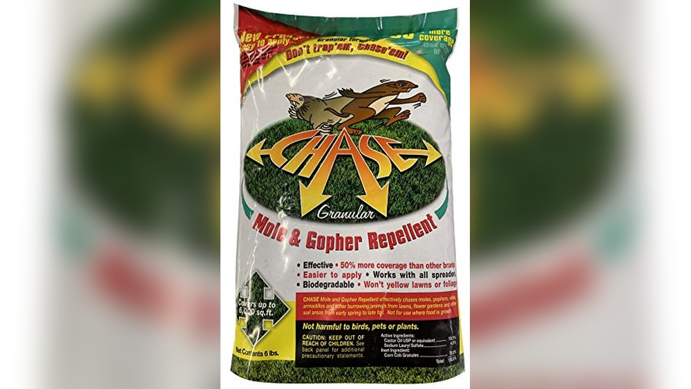Best Electronic Insect Repellents for Effective Outdoor Pest Protection