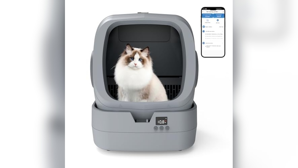 Best Electronic Litter Boxes