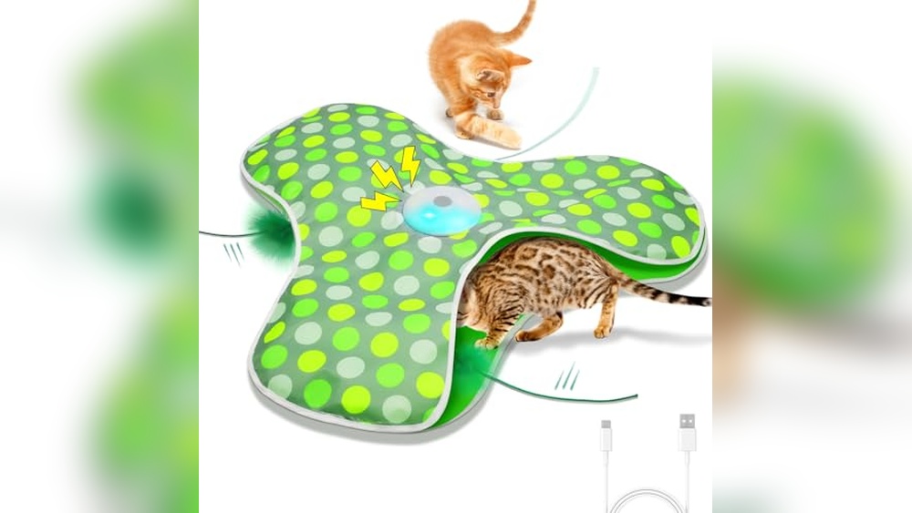 Best Electronic Motion Cat Toy for Engaging Indoor Play and Exercise