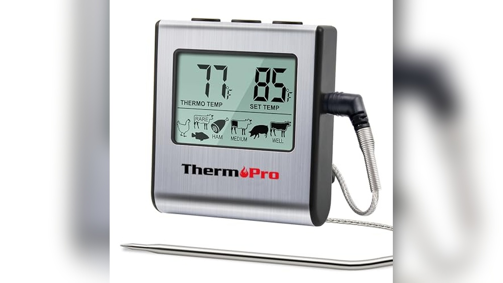 Best Electronic Oven Thermometer