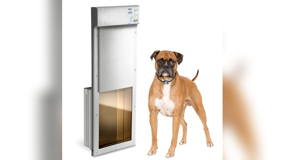 Best Electronic Pet 2018