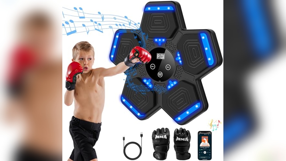 Best Electronic Punching Bag