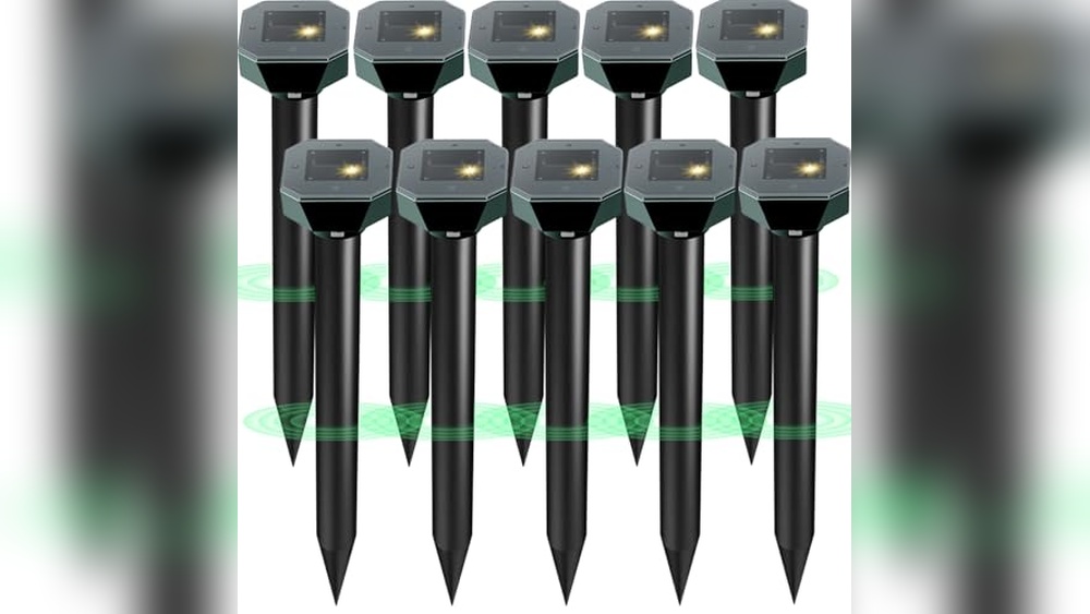 Best Electronic Repellent for Groundhogs