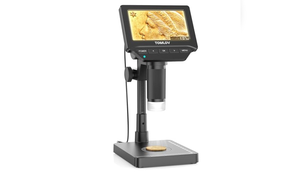 Best Electronic Scales for Weighing Cannabis Harbor Freight