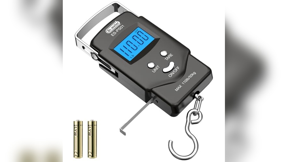 Best Electronic Setup for Bass Fishing