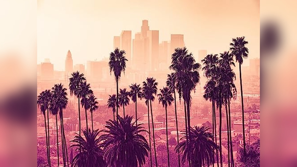Best Electronic Shop in Los Angeles for Gadgets and Backdrops