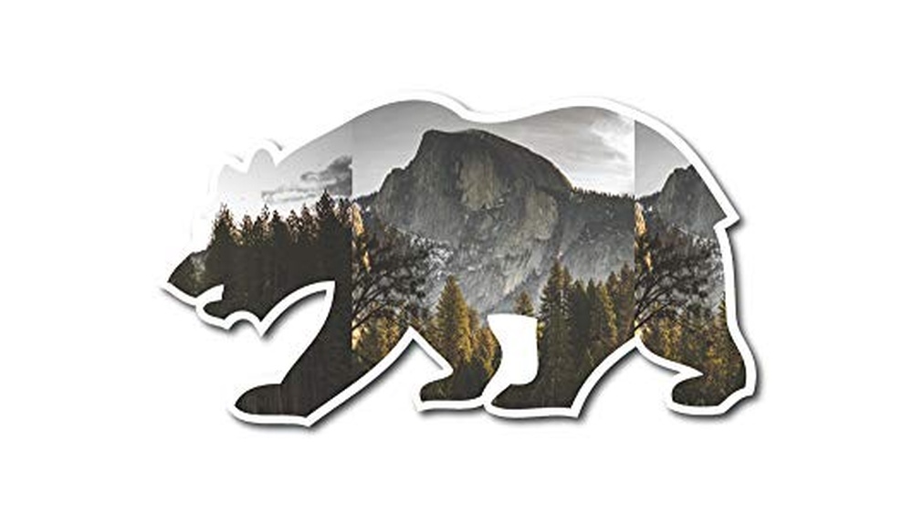 Best Electronic Shops in California for Unique Stickers and Gadgets