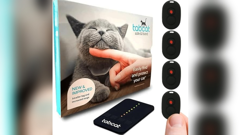 Best Electronic Tablet for Cats: Top Interactive Gadgets for Feline Fun