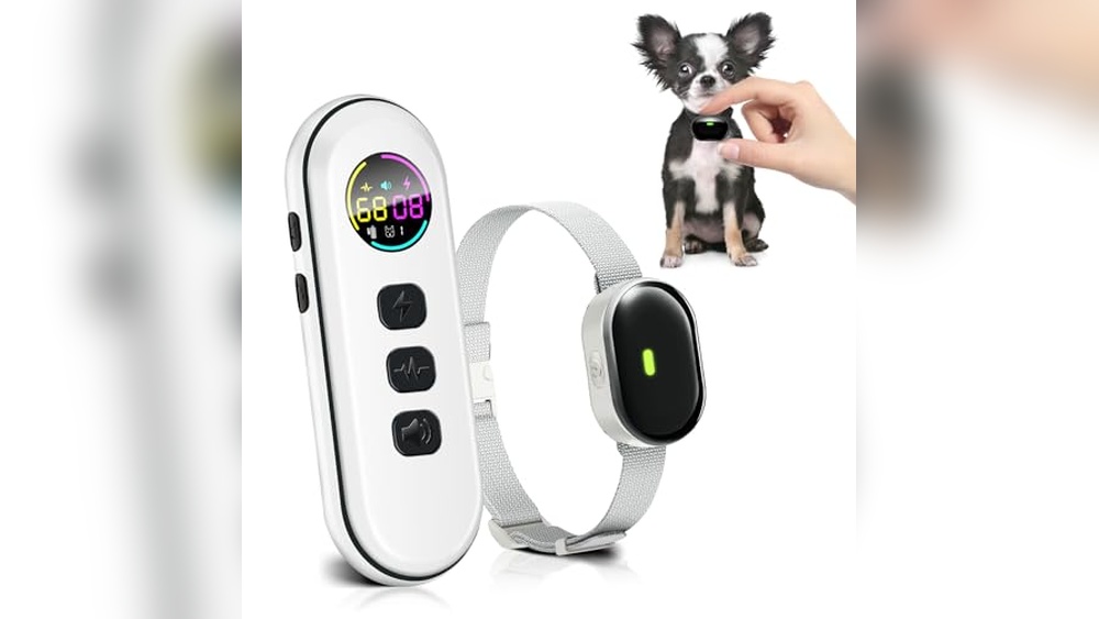 Best Electronic Training Collar for Small Dogs: Top Lightweight Waterproof Picks