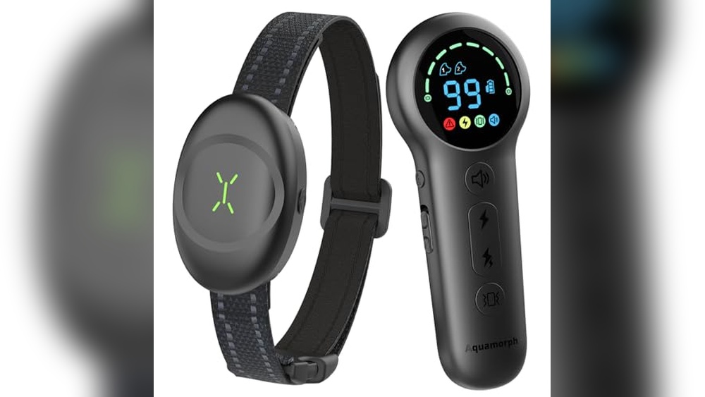 Best Electronic Training Collars for Effective Dog Obedience and Control