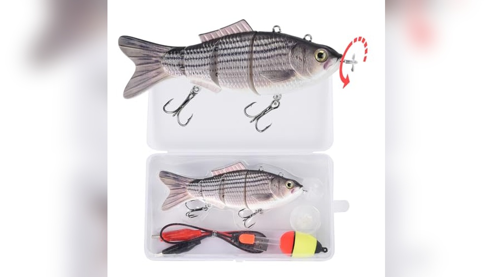 Best Electronics for Inshore And Bass Fishing: Top Gear and Gadgets