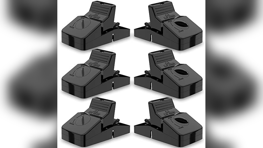 Best Outdoor Electronic Rat Trap for Effective and Humane Pest Control