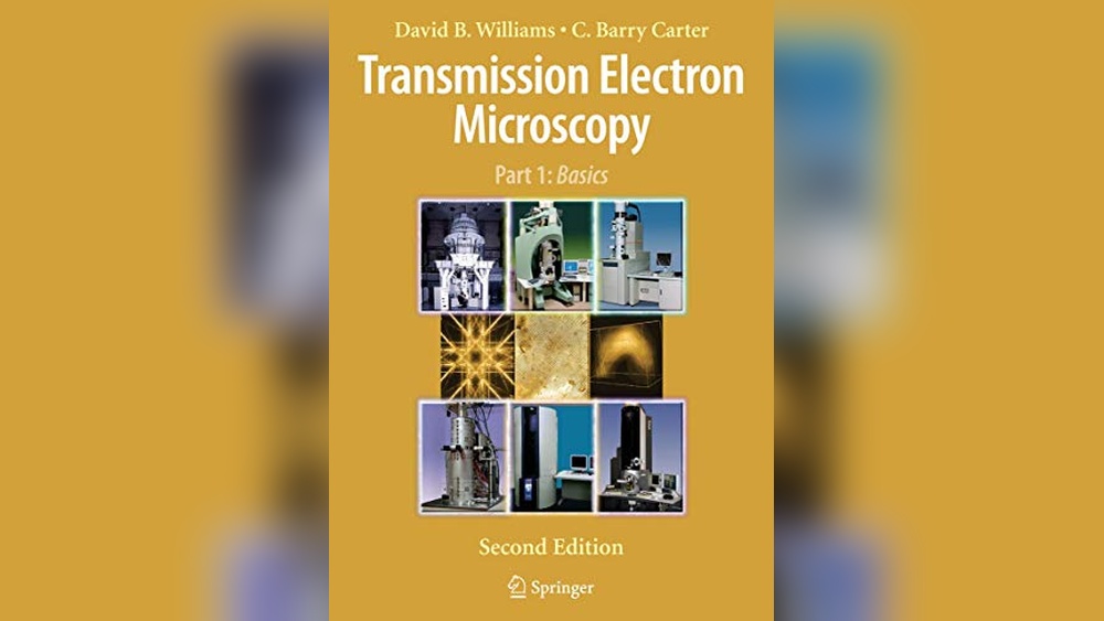 Which Statement Best Describes Electrons: Key Insights and Scientific Facts